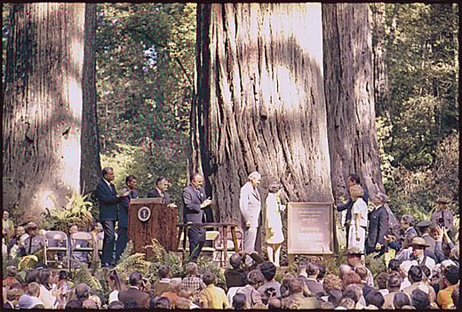 Lady Bird Johnson, Lyndon Johnson, Richard Nixon and Pat Nixon stand beside a plaque on a stage in front of a crowd in Redwood National Park. The giant redwoods trees can be seen in the background