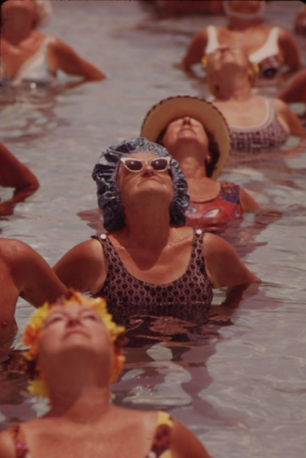 Photograph of women in a pool looking up towards the sun