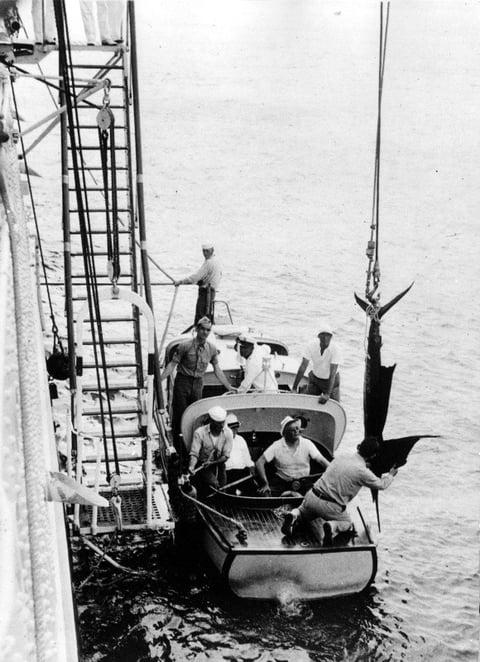 Franklin D. Roosevelt on fishing trip, National Archives Identifier 345249557