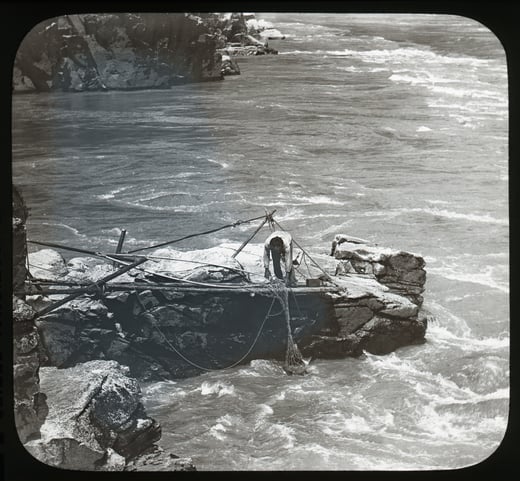 Fraser River, Indian Catching Salmon
