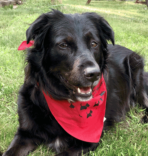 Become a member today.