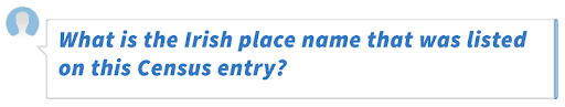 What is the Irish place name that was listed on this Census entry?