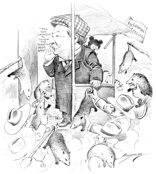 Back In Possum Land, National Archives Identifier 6010823